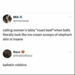 Ballskin Robbins